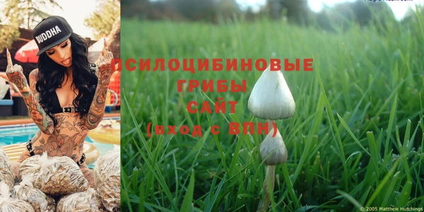PSILOCYBIN Беломорск