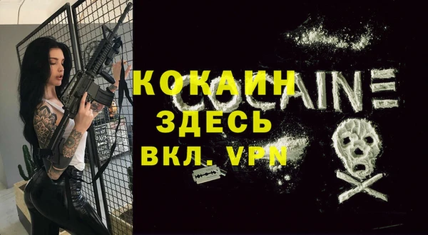 гашик Балахна