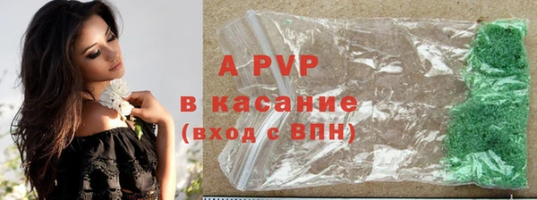 гашик Балахна