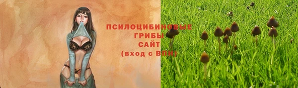 PSILOCYBIN Беломорск