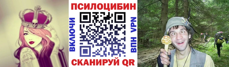 сколько стоит  Куйбышев  Псилоцибиновые грибы Magic Shrooms 